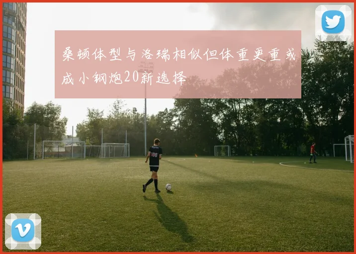 桑顿体型与洛瑞相似但体重更重或成小钢炮20新选择